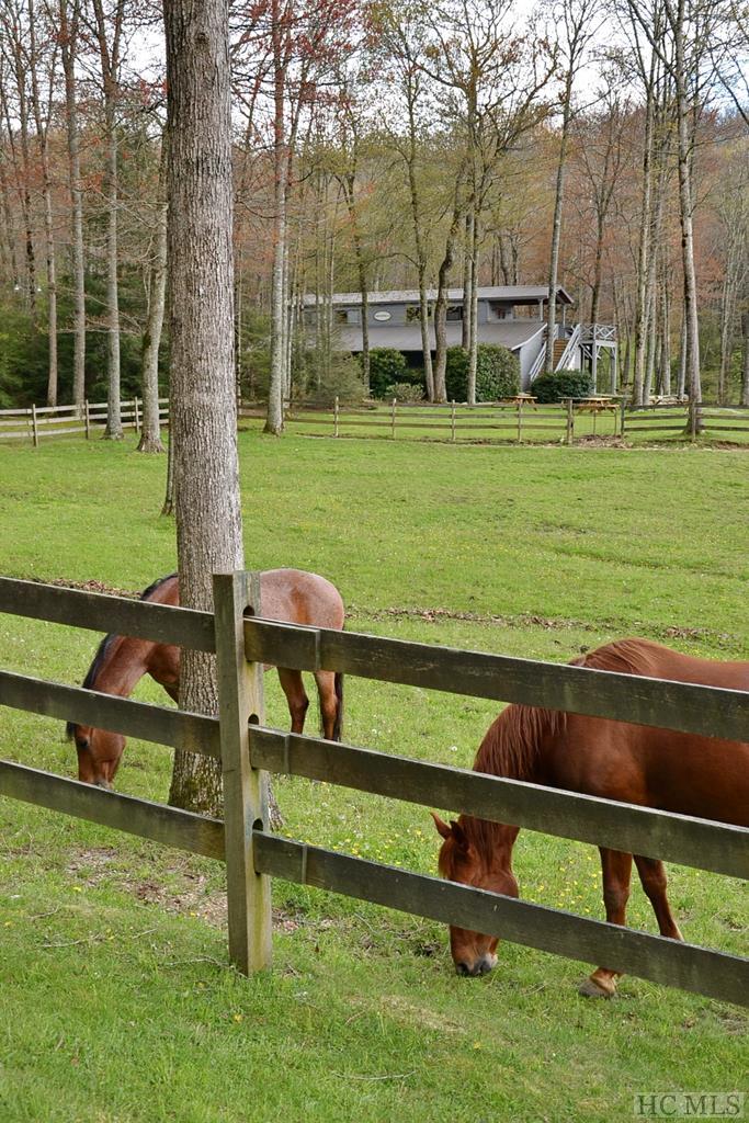 Bald Rock Sapphire Valley NC Land for Sale Silver Creek Real Estate