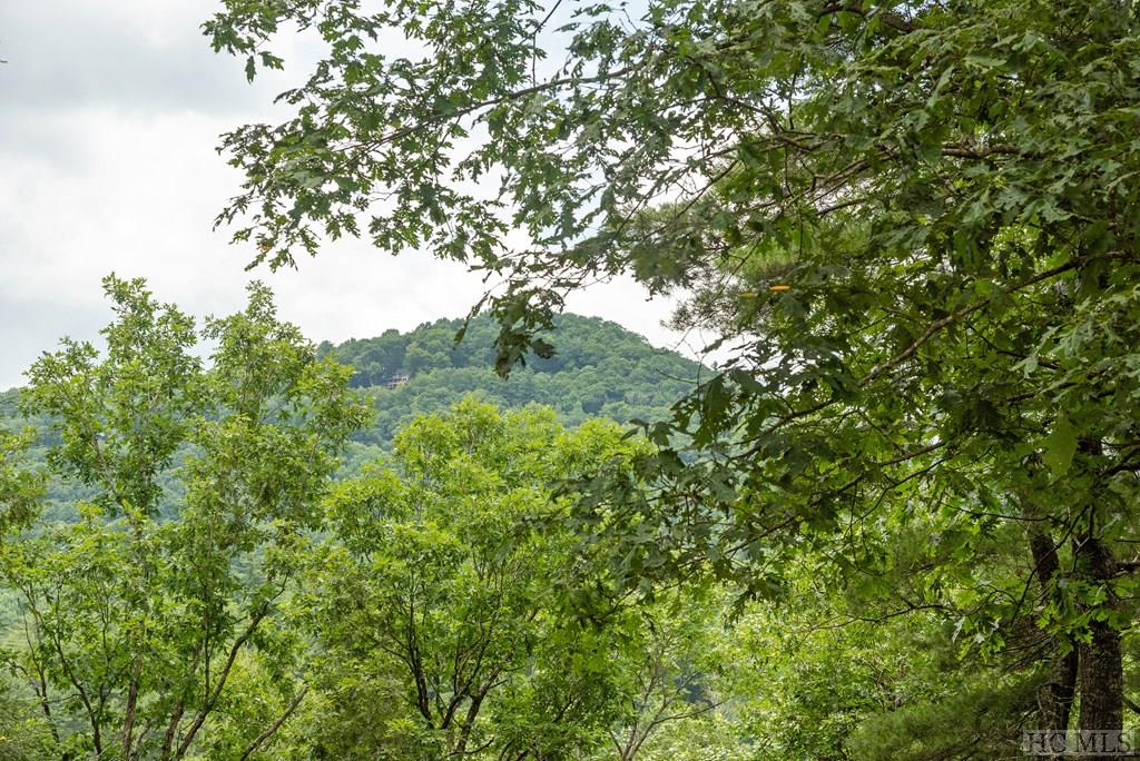 The Chattooga Club NC Homes for Sale The Chattooga Club Real Estate