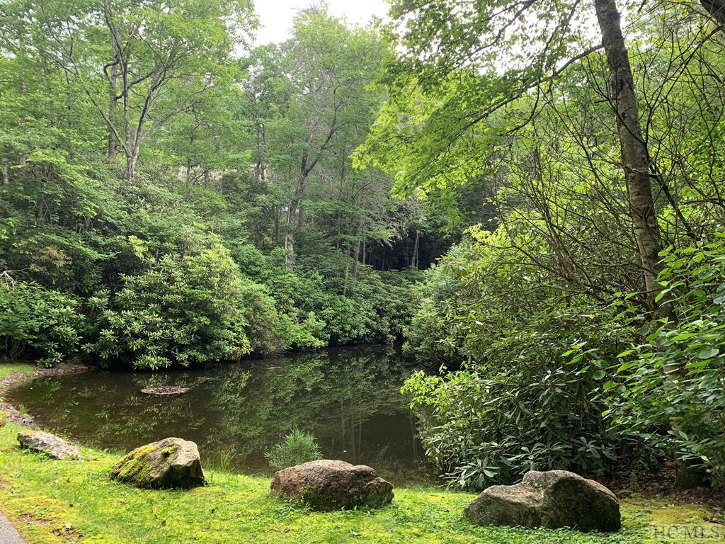 High Hemlock Cashiers NC Land for Sale Silver Creek Real Estate