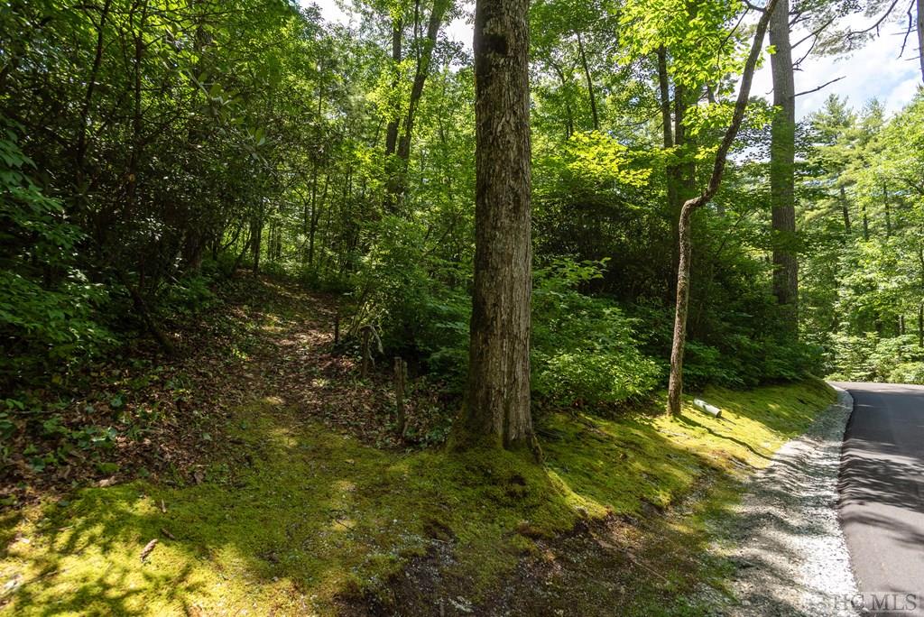 Land for Sale in The Chattooga Club NC Silver Creek Real Estate Group