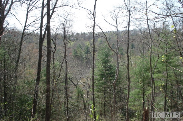 Lot 79 Parsons View Cashiers NC 28717