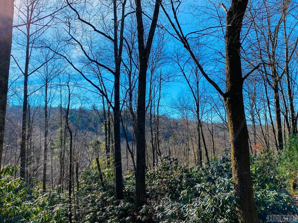 Lot 54 Birchwood Drive Highlands NC 28741