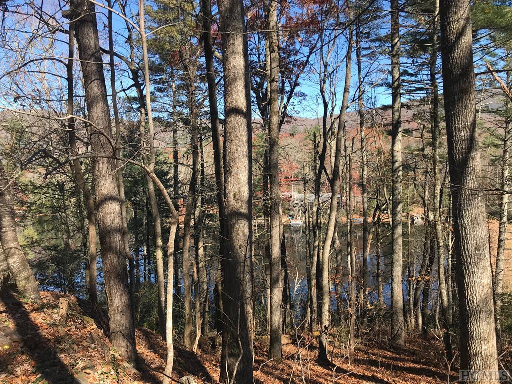Hogback Lake NC Land for Sale Land for Sale in Hogback Lake NC