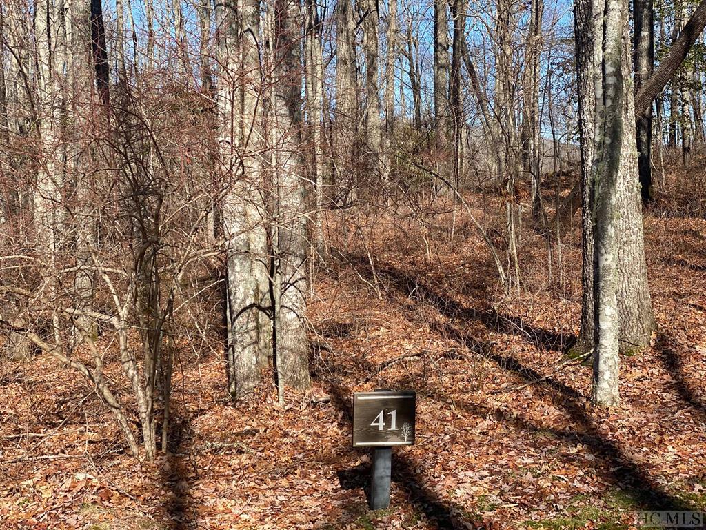 Chinquapin, Cashiers NC Land for Sale