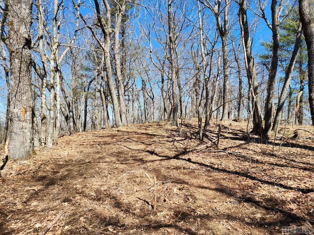 Falcon Ridge Sapphire Valley NC Land for Sale Silver Creek Real Estate Group